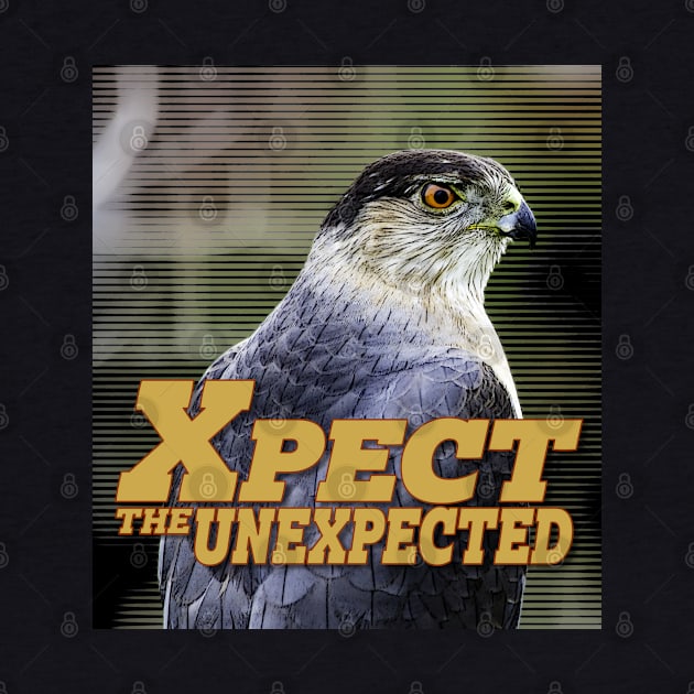 Xpect the Unexpected Hawk2 by Ripples of Time